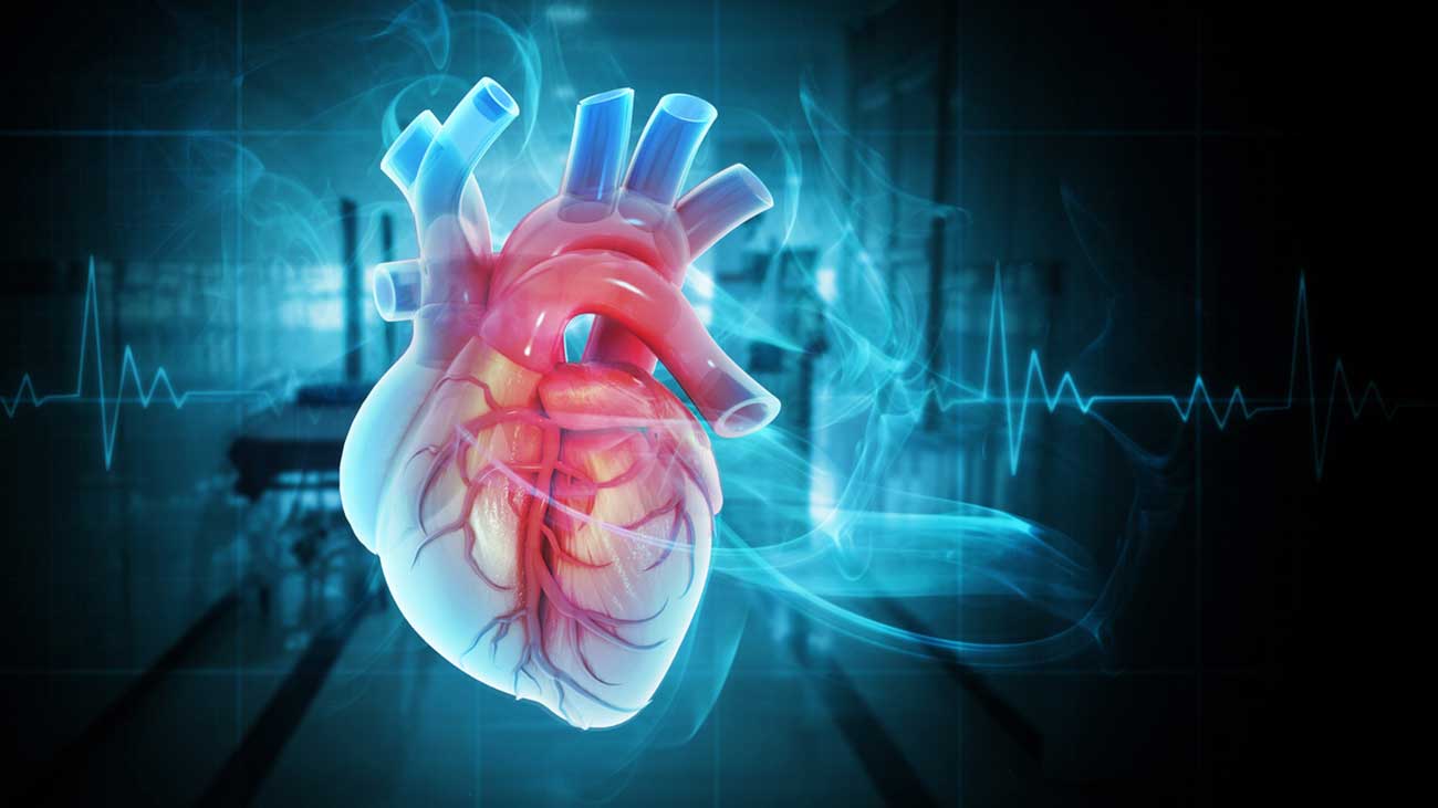 Echocardiogram vs. EKG: What’s the Difference and What to Expect